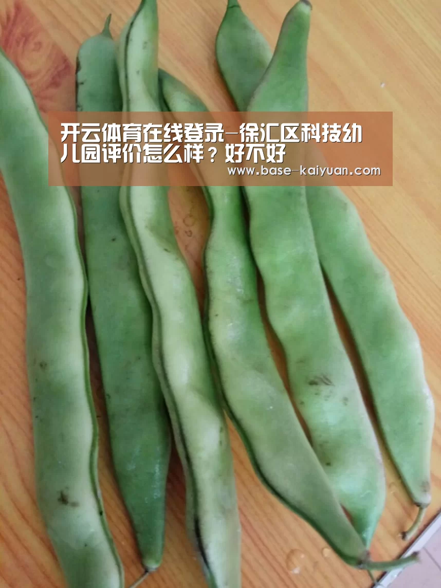 开云体育在线登录-徐汇区科技幼儿园评价怎么样?好不好(图4) 开云体育在线登录
