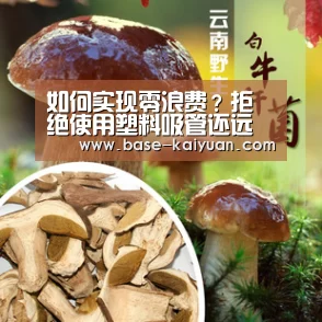 如何实现零浪费?拒绝使用塑料吸管还远远不够_开元棋牌下载(图3) 开元棋牌app